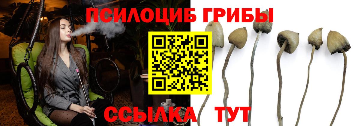 Сосновоборск  Псилоцибиновые грибы Psilocybine cubensis  Вход с VPN  Псилоцибиновые грибы Magic Shrooms 